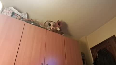 juanka85564456 online show from 01-20-25, 09:43