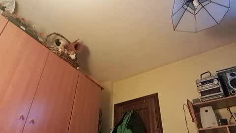 juanka85564456 online show from 01-29-25, 12:43