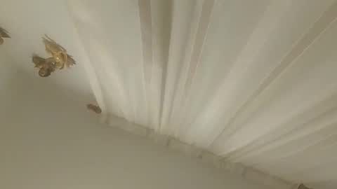 Snapshot of juanmapapiirico chatting on 11-14-25, 03:27 JuanmaSEX online show from 11-14-25, 03:27