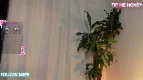 Juan Miguel online show from 02-14-25, 11:53