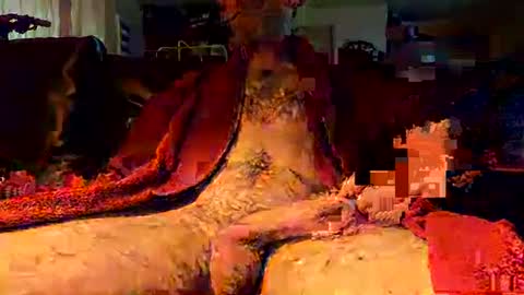 Snapshot of jujusbzh chatting on 02-23-25, 08:06 jujusbzh online show from 02-23-25, 08:06