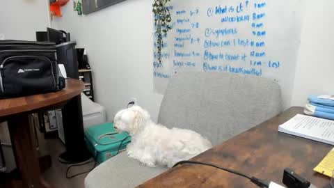 Jules online show from 03-20-26, 05:40
