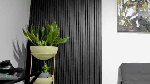 Snapshot of juliansexxx16 chatting on 02-19-26, 12:06 Julian online show from 02-19-26, 12:06