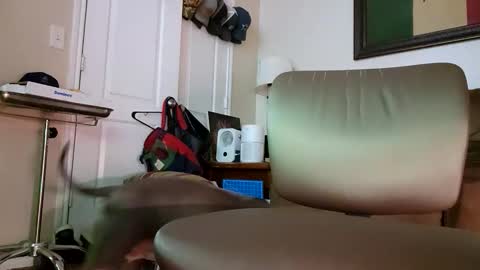 Snapshot of just4fun1523 chatting on 01-09-26, 02:14 just4fun1523 online show from 01-09-26, 02:14