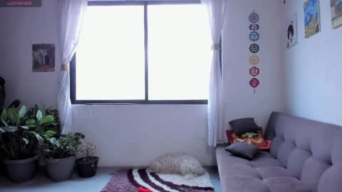 Sofia online show from 04-11-26, 01:48