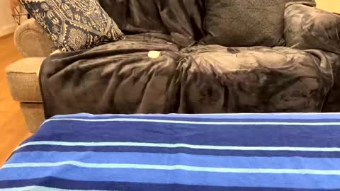 justuravgdad  justuravgmom online show from 02-17-25, 12:32