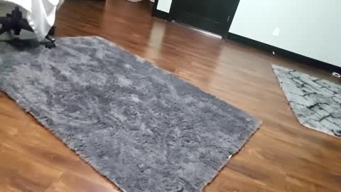 Tohiptwoquit online show from 01-15-26, 06:07