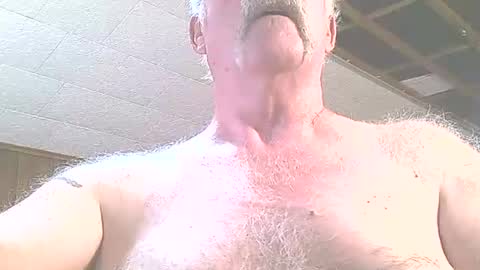 Snapshot of justdon chatting on 06-24-26, 03:33 justdon online show from 06-24-26, 03:33