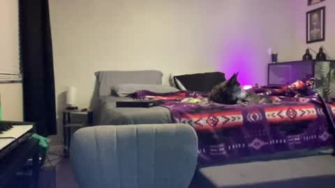 JustinCase online show from 07-14-26, 05:12