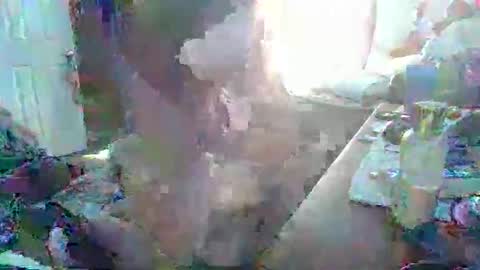 justintyme911128278 online show from 03-19-26, 08:35