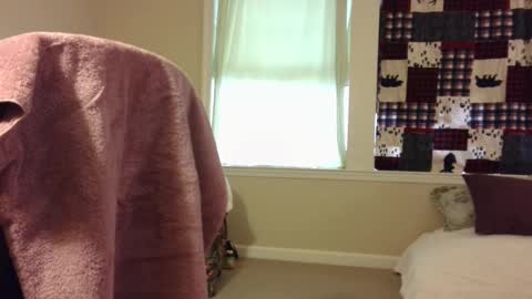 Wolf online show from 03-01-25, 01:29