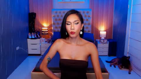 Snapshot of jynxocean chatting on 11-15-25, 12:52 Jynx online show from 11-15-25, 12:52