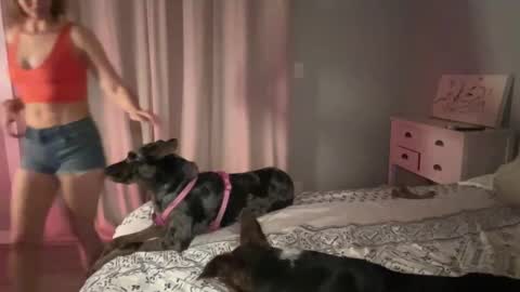 Snapshot of kaileeshy chatting on 02-12-25, 04:54 Kailee Smile online show from 02-12-25, 04:54