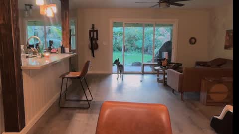 Kailee Smile online show from 03-21-26, 04:28