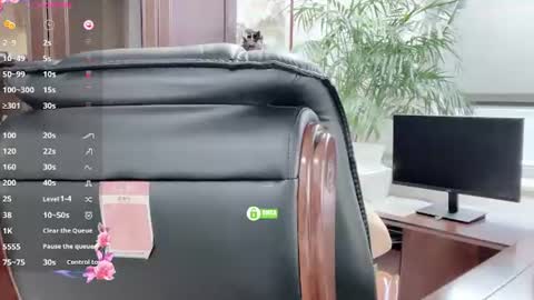 Kaixin online show from 06-13-26, 01:58