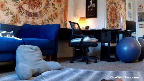 Tara Smith online show from 01-14-25, 10:02