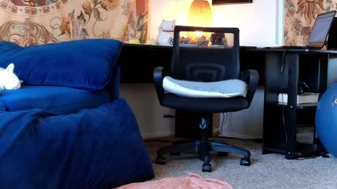 Tara Smith online show from 01-30-25, 06:54