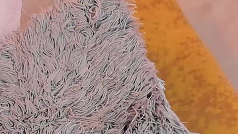 KaliMonroe online show from 01-26-25, 05:13