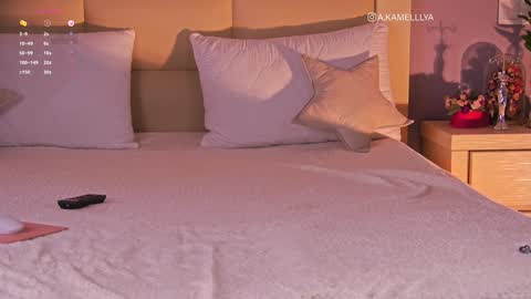 Kamelllya online show from 02-02-25, 08:35