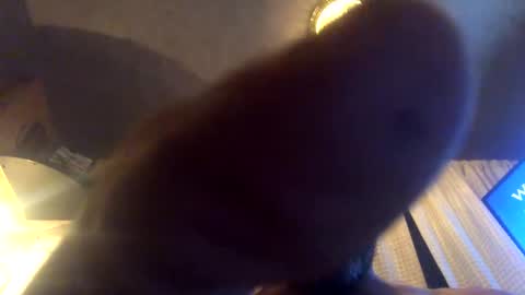 Tucker online show from 09-23-25, 08:06