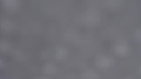 Emma online show from 01-23-25, 09:08