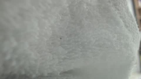 Karin online show from 01-20-25, 11:35