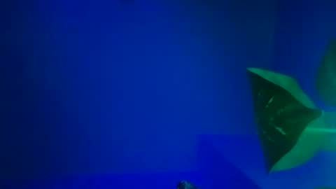 Karla Gonzaless online show from 11-09-25, 06:44