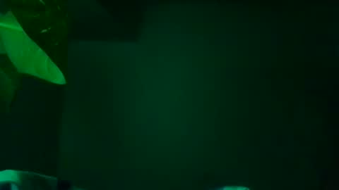 Karla Gonzaless online show from 11-13-25, 07:29