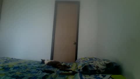 Snapshot of karlhats2023 chatting on 12-27-24, 07:57 karlhats2023 online show from 12-27-24, 07:57