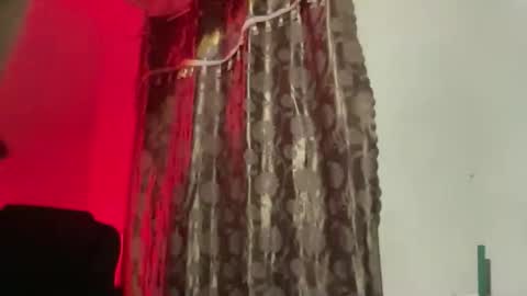 Majesty online show from 11-20-25, 07:35