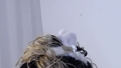 Help me with rate thanks  online show from 12-11-24, 03:35