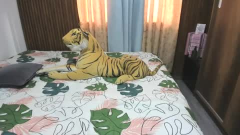 Snapshot of katerinamilf_ chatting on 06-13-26, 12:36 kata online show from 06-13-26, 12:36