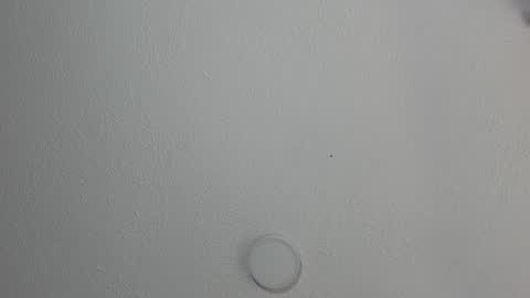 Snapshot of katestone_again chatting on 01-17-25, 03:32 love meeee online show from 01-17-25, 03:32