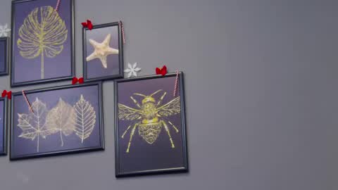 Kate online show from 12-17-24, 12:23