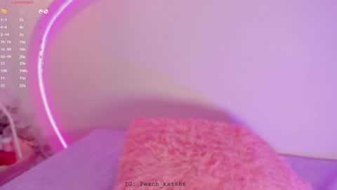 Snapshot of katiepeach_ chatting on 01-07-25, 04:48 Katy IGPeach kat666 online show from 01-07-25, 04:48