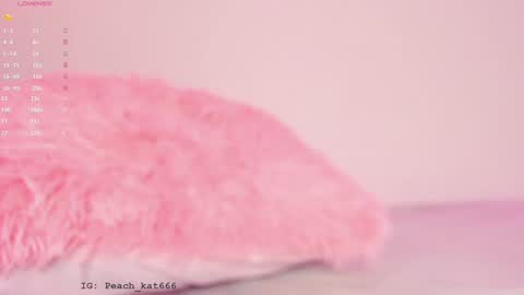 Snapshot of katiepeach_ chatting on 01-16-25, 03:35 Katy IGPeach kat666 online show from 01-16-25, 03:35