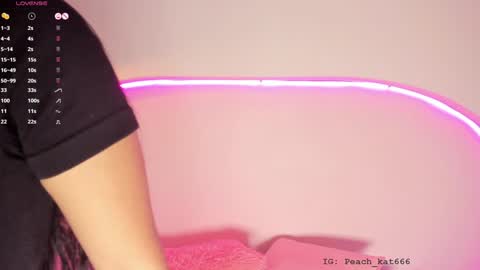 Snapshot of katiepeach_ chatting on 01-18-25, 12:15 Katy IGPeach kat666 online show from 01-18-25, 12:15