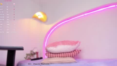 Snapshot of katiepeach_ chatting on 01-22-25, 03:40 Katy IGPeach kat666 online show from 01-22-25, 03:40