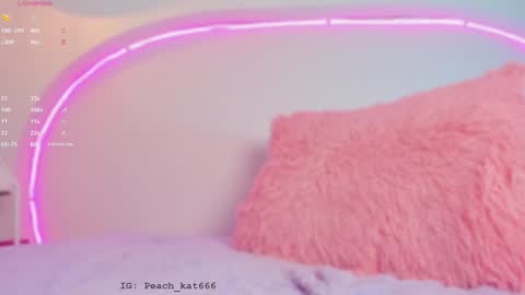 Snapshot of katiepeach_ chatting on 01-23-25, 04:37 Katy IGPeach kat666 online show from 01-23-25, 04:37