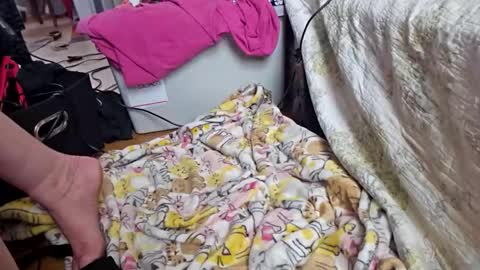 katladyzsafespace online show from 12-04-25, 05:54