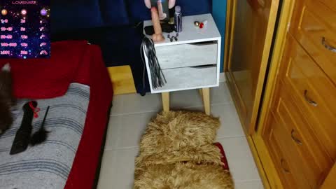 Arianna online show from 12-02-24, 07:38