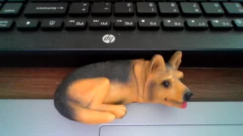Snapshot of kawa98karbu chatting on 06-26-26, 12:20 kawa98karbu online show from 06-26-26, 12:20