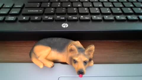 Snapshot of kawa98karbu chatting on 06-30-26, 12:17 kawa98karbu online show from 06-30-26, 12:17