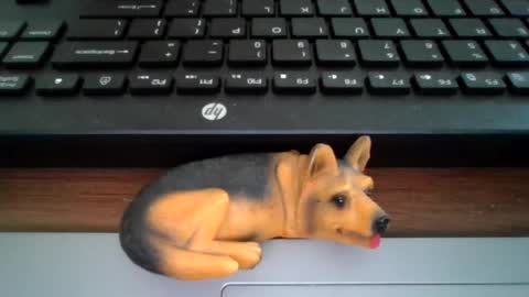 Snapshot of kawa98karbu chatting on 07-07-26, 11:36 kawa98karbu online show from 07-07-26, 11:36