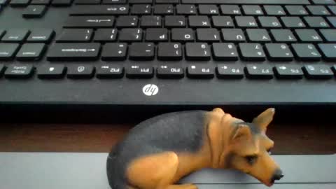 Snapshot of kawa98karbu chatting on 07-08-26, 12:20 kawa98karbu online show from 07-08-26, 12:20