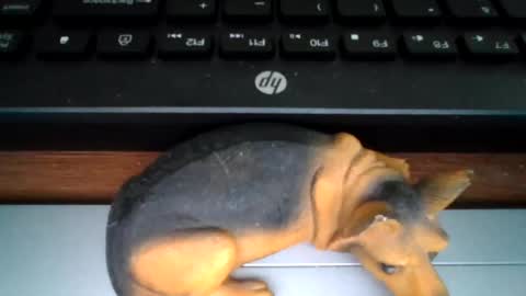 Snapshot of kawa98karbu chatting on 07-09-26, 12:20 kawa98karbu online show from 07-09-26, 12:20