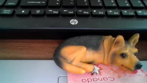 Snapshot of kawa98karbu chatting on 07-10-26, 12:08 kawa98karbu online show from 07-10-26, 12:08
