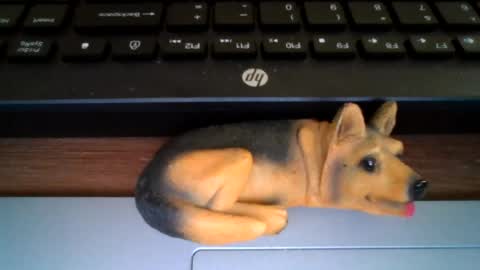 Snapshot of kawa98karbu chatting on 07-14-26, 12:33 kawa98karbu online show from 07-14-26, 12:33
