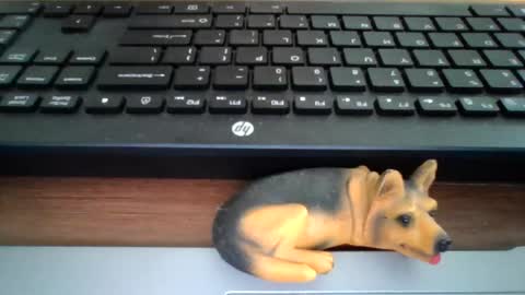 Snapshot of kawa98karbu chatting on 07-15-26, 12:21 kawa98karbu online show from 07-15-26, 12:21