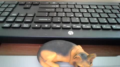 Snapshot of kawa98karbu chatting on 07-17-26, 01:07 kawa98karbu online show from 07-17-26, 01:07